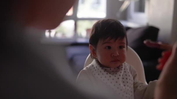 Visão Traseira Mãe Comendo Alimentando Seu Bebê Babete Através Colher — Vídeo de Stock