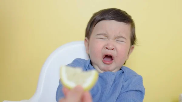 Child Tastes Piece Lemon Wrinkles Makes Grimace High Quality Photo — Stock Photo, Image