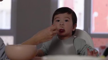 Anne bebeğini kaşıkla besliyor. Tamamlayıcı gıdaların tanıtımı, iyi beslenme, bebek maması yüksek kalite 4K görüntü