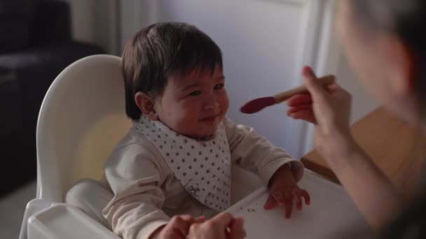 엄마가 아기에게 먹이는 뒷모습 어린아이는 의자에 숟가락으로 식사를 고품질 — 비디오