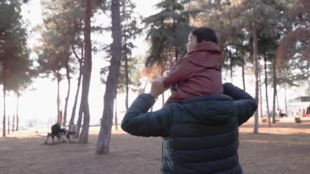 父親は公園で赤ん坊を肩に担いでいる 高品質4K映像 — ストック動画