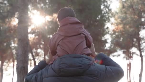 Вид Ззаду Батька Несе Дитину Плечі Парку Високоякісні Кадри — стокове відео