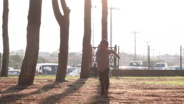 Preschooler Boy Running Camera Park Sunset Time High Quality Footage — Stock Video