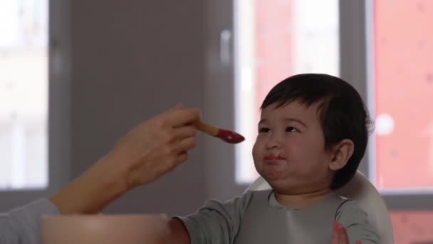 엄마가 아기를 숟가락으로 살리고 식품의 식품의 — 비디오