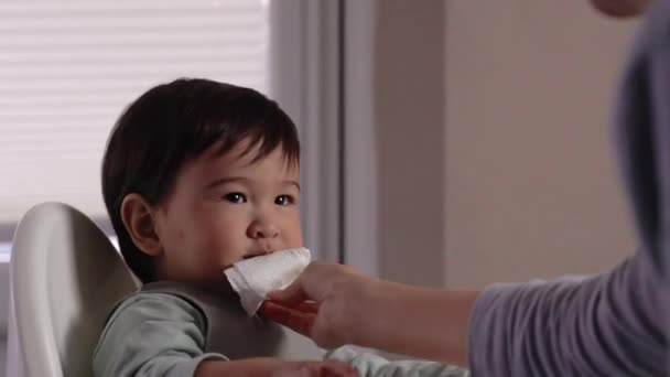 Mom Wipes Her Babys Mouth While Feeding Introduction Complementary Food — Stock Video