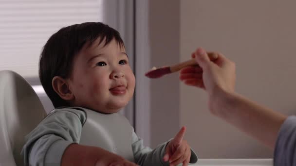 Copil Fericit Zâmbind Scaunul Înalt Mâncând Din Lingură Introducerea Alimente — Videoclip de stoc