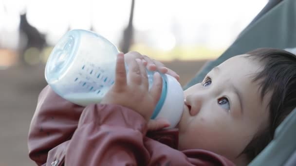 Bebê Asiático Bebe Fórmula Uma Mamadeira Enquanto Está Deitado Carrinho — Vídeo de Stock
