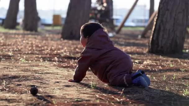 公園の地面を這う可愛い赤ん坊の少年 高品質4K映像 — ストック動画