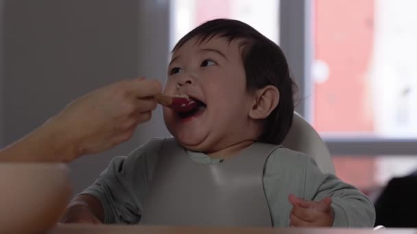 Šťastné Dítě Matka Krmí Své Sladké Děťátko Lžící Zavedení Doplňkových — Stock video