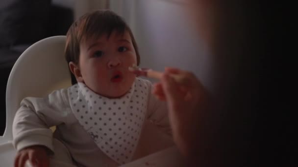 透过勺子看到婴儿在围兜里吃着互补的食物 母亲用勺子喂婴儿 高质量的4K镜头 — 图库视频影像