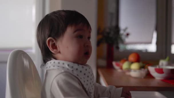 边看婴儿在围嘴里通过勺子吃互补的食物 母亲用勺子喂婴儿 高质量的4K镜头 — 图库视频影像