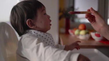 Önlüklü bebeğin kaşıktan tamamlayıcı gıdalar yemesi. Anne bebeği kaşıkla besler. Yüksek kalite 4k görüntü