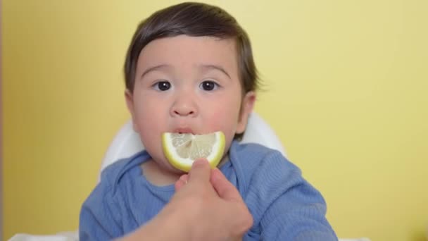 Ein Kind Schmeckt Ein Stück Zitrone Runzelt Die Falten Und — Stockvideo