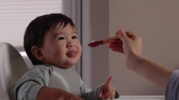 Sandalyede Gülümseyen Kaşıkla Yemek Yiyen Mutlu Bir Bebek Tamamlayıcı Gıdaların — Stok video