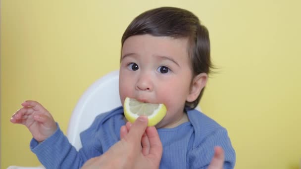 Bir Çocuğun Tadı Bir Parça Limon Kırışıklıklar Somurtuyor Yüksek Kalite — Stok video
