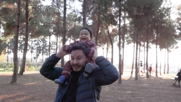 Father Carries Baby His Shoulders Park High Quality Footage — Stock Video