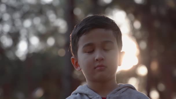 Portret Van Een Jongetje Dat Naar Camera Kijkt Young Lacht — Stockvideo