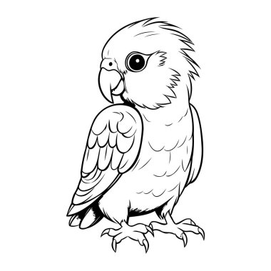 Beyaz arka planda papağan. Bir papağanın vektör çizimi.