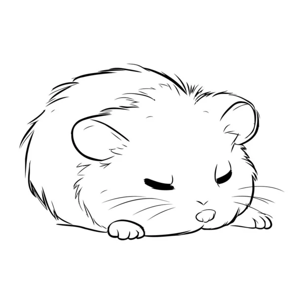 Hamster Ilustração Vetorial Hamster Sobre Fundo Branco — Vetor de Stock