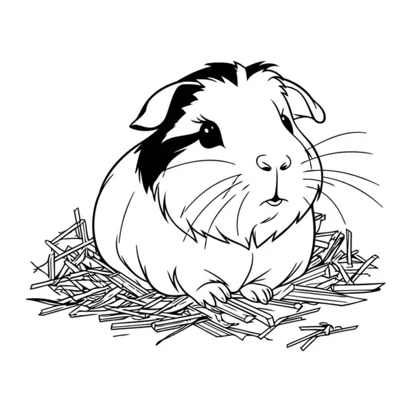 Schwarz Weiße Illustration Eines Meerschweinchens Einem Nest — Stockvektor