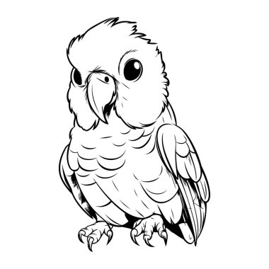 Beyaz arkaplanda bir papağanın siyah ve beyaz vektör görüntüsü
