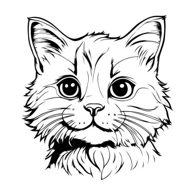 Bir kedi portresi. Beyaz arkaplanda vektör illüstrasyonu.