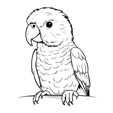 Beyaz arka planda izole edilmiş papağan. Siyah ve beyaz vektör çizimi.