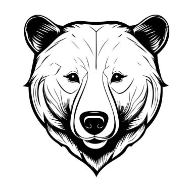 Beyaz arka planda siyah ve beyaz ayı kafası izole edilmiş. Vektör illüstrasyonu.