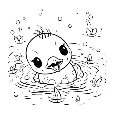 şirin ayı hayvan karikatürü vektör illüstrasyon grafik tasarım vektör çizim grafik tasarımı