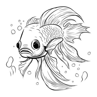 Sudaki bir akvaryum balığının siyah-beyaz çizimi.