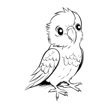 Beyaz arkaplanda siyah-beyaz bir papağan çizimi
