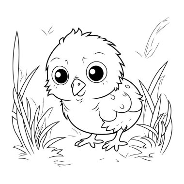Çocuklar için boyama kitabı. Çimlerde tatlı küçük bir tavuk