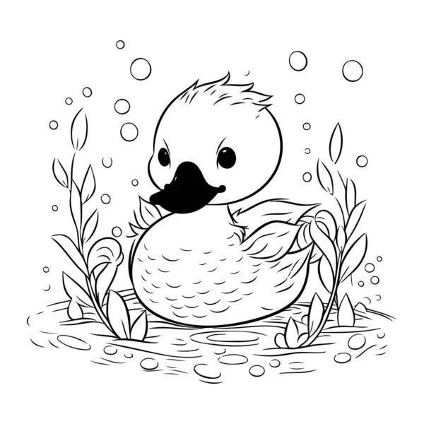 鸭子在池塘里游泳 彩色书籍的矢量图解 — 图库矢量图片