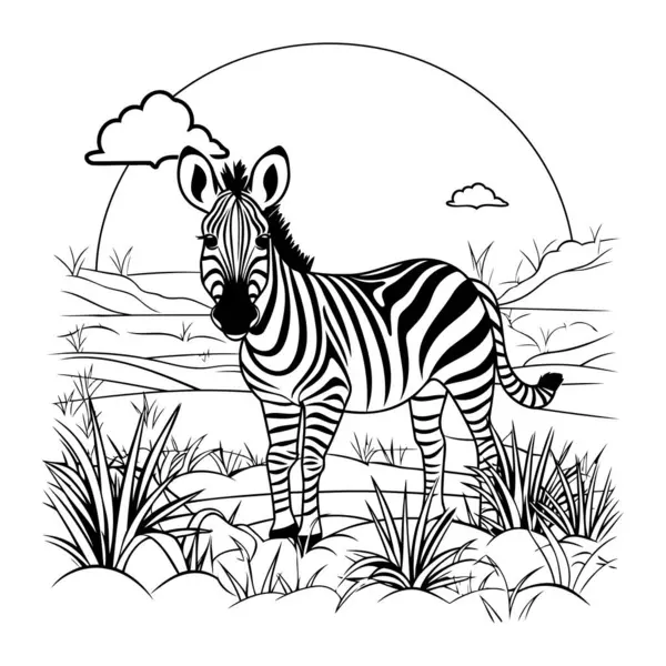 Projekt Kreskówki Zebra Zwierząt Słodkie Zoo Życie Natura Fauna Motyw — Wektor stockowy