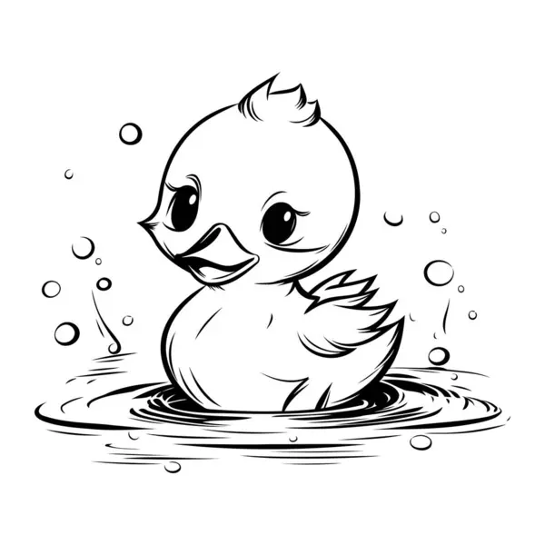 Cute Little Duckling Swimming Water Vector Illustration Royalty Free Stock Vectors