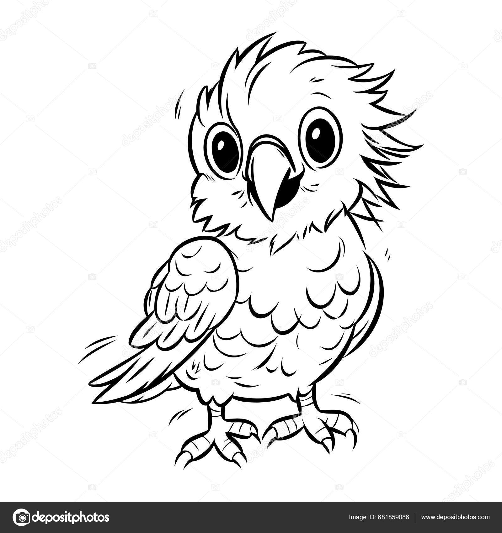 可爱的卡通猫头鹰彩色书籍的黑白矢量图解图库矢量图©ibrandify 681859086, image size:1600x1700