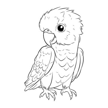 Beyaz arka planda izole edilmiş papağan. El çizimi vektör illüstrasyonuName.