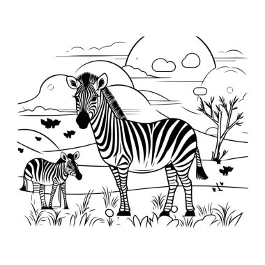 Zebra sahada. Boyama kitabı için siyah ve beyaz vektör çizimi.