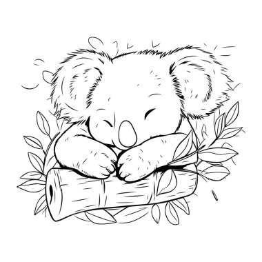 Cute koala sleeping on a branch. Hand drawn vector illustration. clipart