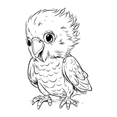 Beyaz arka planda izole edilmiş şirin papağan. El çizimi vektör illüstrasyonu.