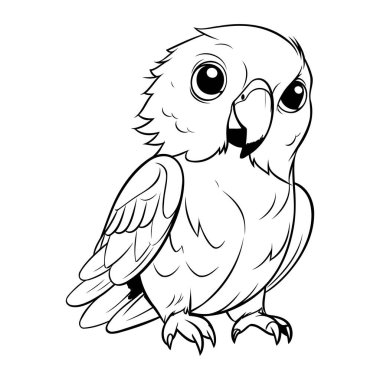 Siyah ve Beyaz Ahır Baykuşu Vektör İllüstrasyonu Kitabı