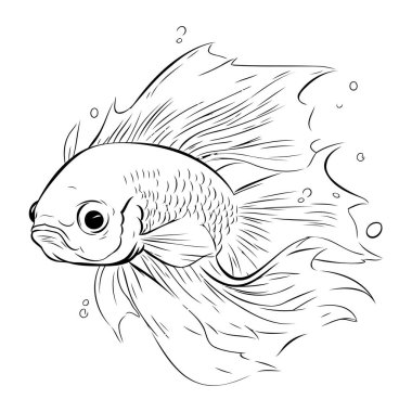 Beyaz arka planda bir Japon balığının siyah-beyaz çizimi