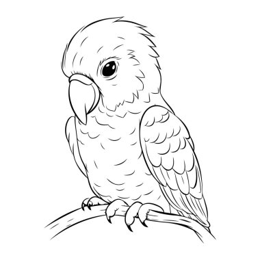 Papağan. Yetişkinler için boyama kitabı. Siyah ve beyaz vektör çizimi.