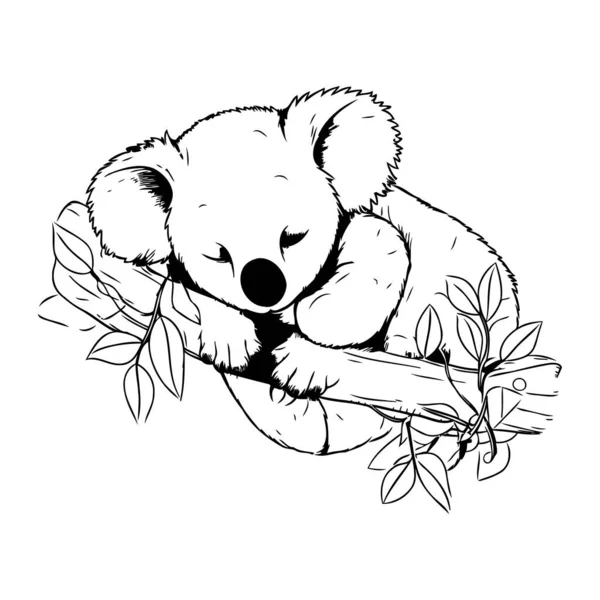 Urso Coala Com Ramo Eucalipto Ilustração Vetorial Desenhada Mão — Vetor de Stock