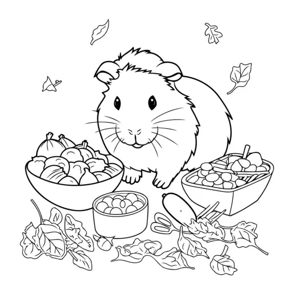 Hamster Yemek Boyama Kitabı Için Siyah Beyaz Vektör Çizimi — Stok Vektör