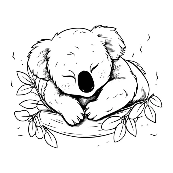 Koala Dorme Cesto Foglie Illustrazione Del Vettore Disegnato Mano — Vettoriale Stock