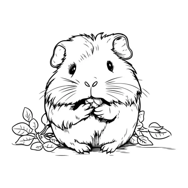 Illustration Cute Guinea Pig Black White Cartoon Character Stock Vector ...