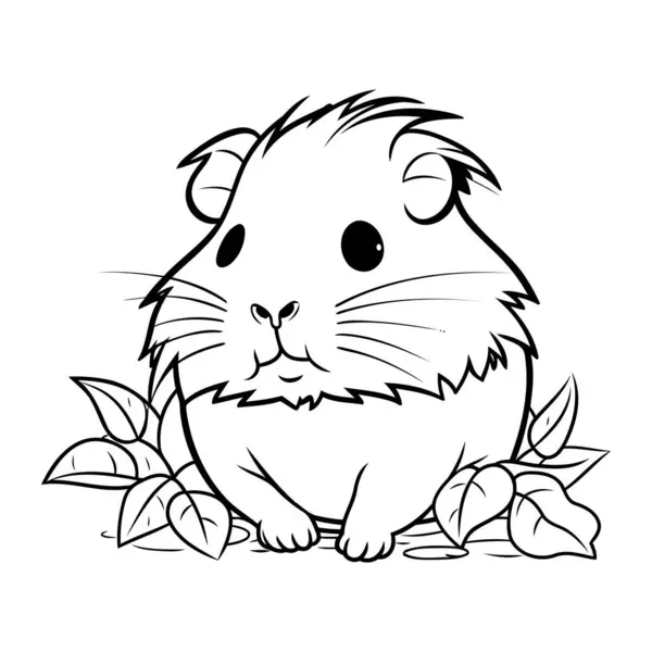 Illustration Cute Guinea Pig White Background Coloring Book Stock ...