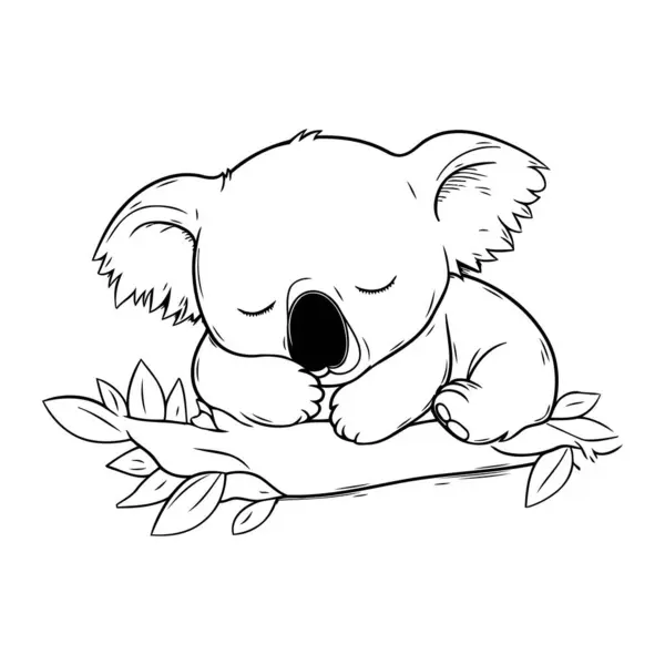 Koala Dormindo Ramo Uma Árvore Ilustração Vetorial — Vetor de Stock