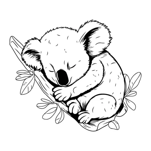 葉のある枝で眠っているかわいいコアラ ベクトルイラスト — ストックベクタ